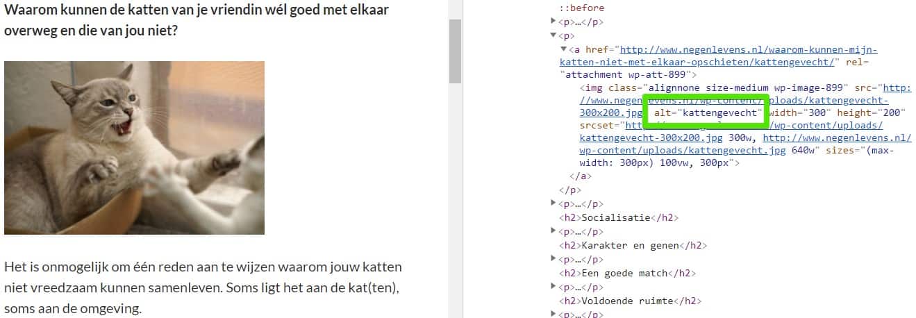 Alt-tag optimalisatie