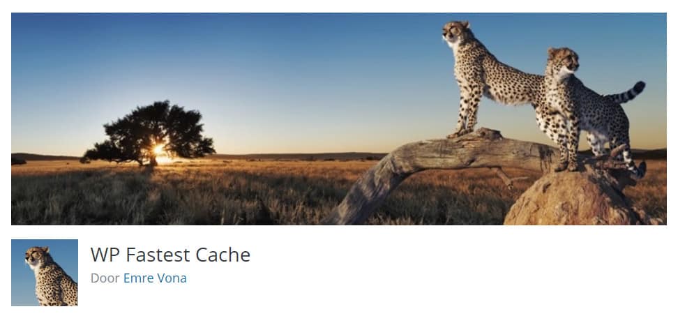 WP Fastest Cache Plugin